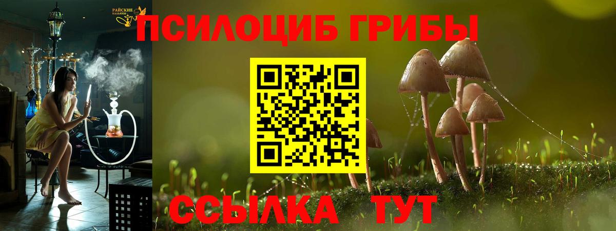 Галлюциногенные грибы Psilocybine cubensis Гуково