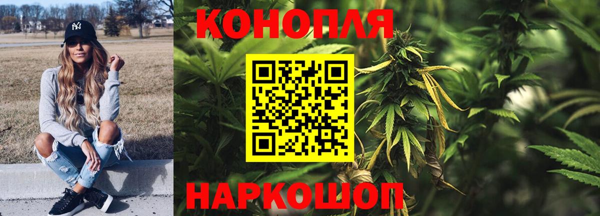Гуково  Каннабис конопля  Каннабис сатива  Бошки марихуана ГИДРОПОН  Вход с VPN 
